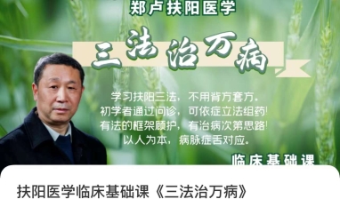 郑卢扶阳医学临床基础课《三法治万病》