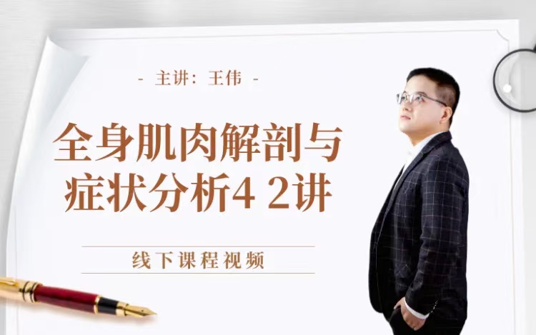 肌肉解剖与肌痛点症状分析 全44讲视频课 分享给你