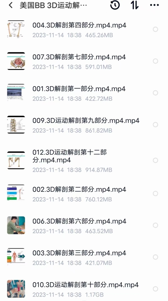 美国BB 3D运动解剖线上课程13集视频课程分享给你