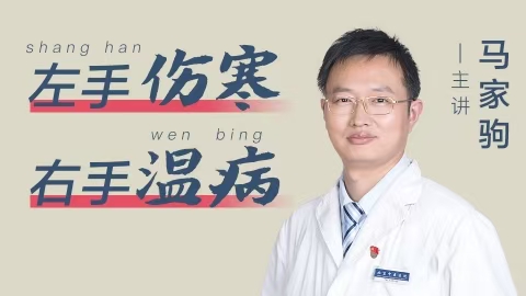 马家驹–左手伤寒·右手温病订阅线上班+word完整讲义 全84讲录音课分享给你