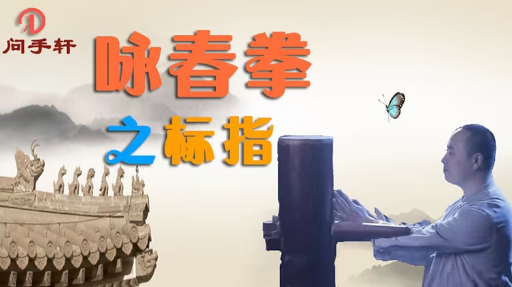 咏春拳五‮合套‬集：入‮筑门‬基 | 木‮桩人‬势 | 小念头 | 标指 | 寻桥 视频课分享给你