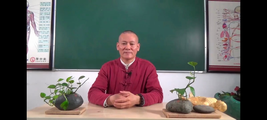 傅泳棋《头痛疗法技绝》8集视频百度网盘分享