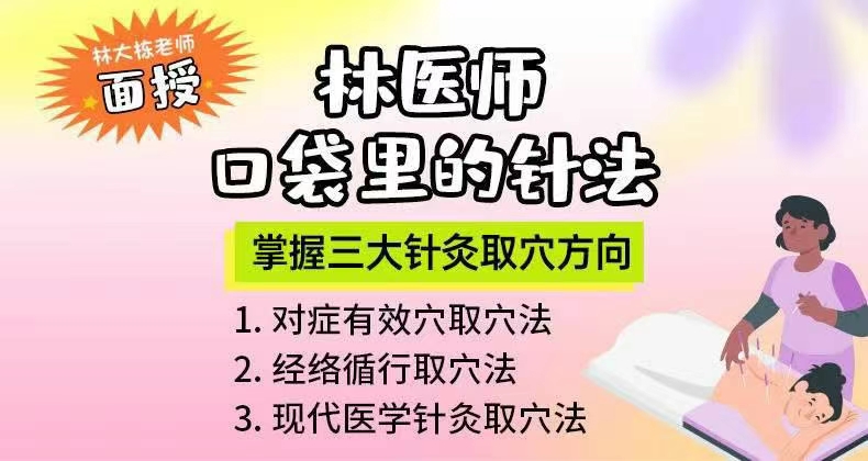 倪海厦亲传弟子林大栋博士 林医师口袋里的针法 全8讲视频课