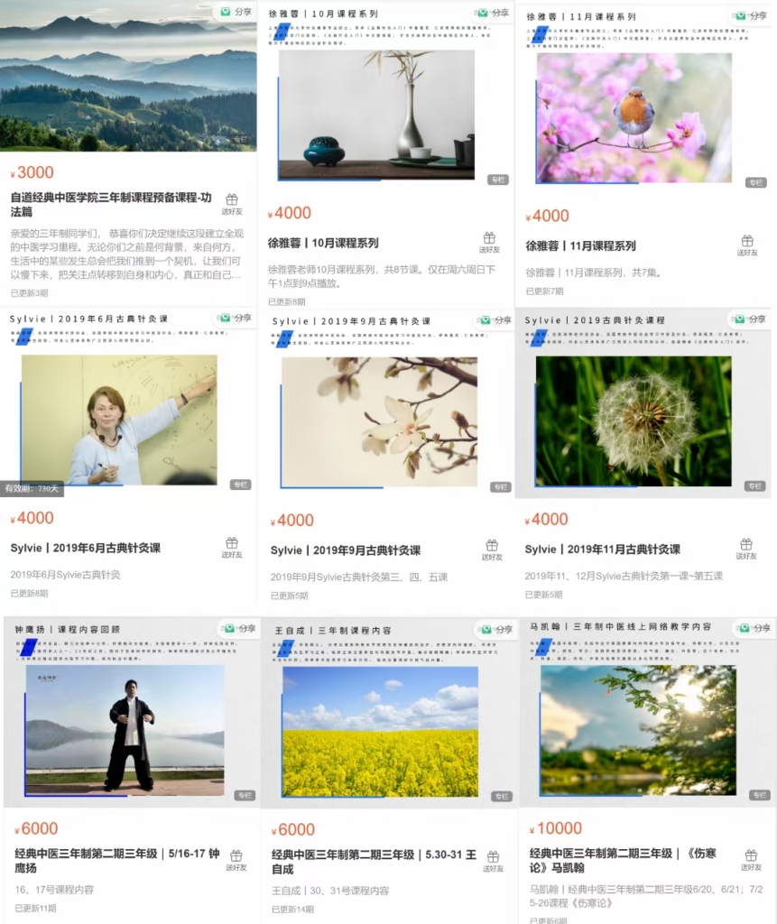 李辛等多位老师 经典中医三年级全套视频课程多套合集  涉及中医功法（无极桩，动桩，体能训练），古典针灸，本草，方剂，伤寒，温病，等等内容