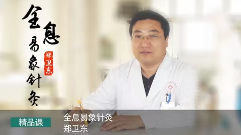 郑卫东 全息易象针灸系列课 共7套 全54讲视频课