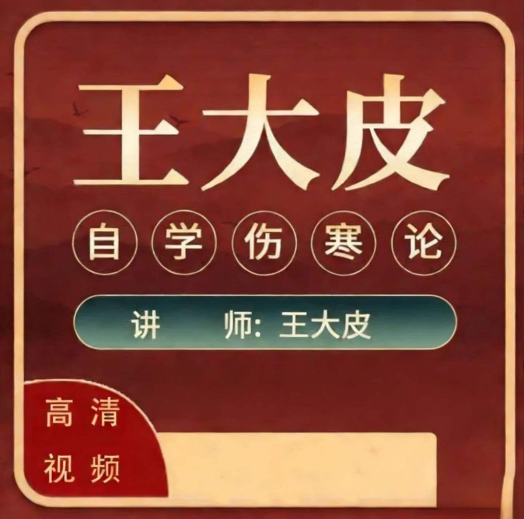 王大皮自学伤寒论 用普通人都能听懂的语言让你学会伤寒论 全48讲视频课（字幕精品版）