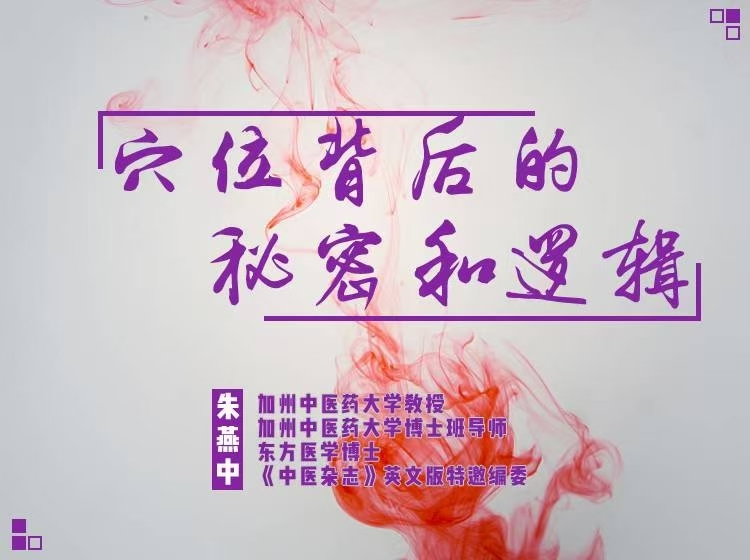 朱燕中 穴位背后的逻辑和秘密 原598课程 超清录音+电子版讲义