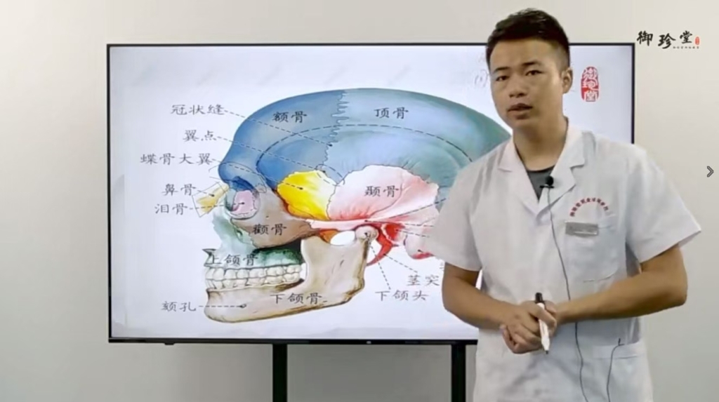 马世奎 回医敦皇正骨 全15讲视频课