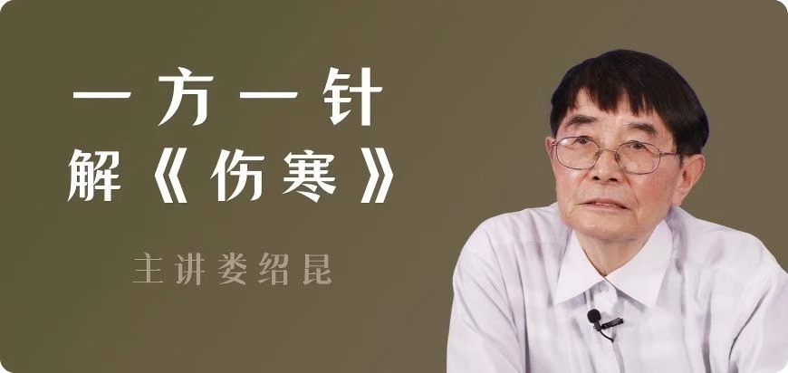 娄绍昆 一方一针解伤寒 录音+讲义