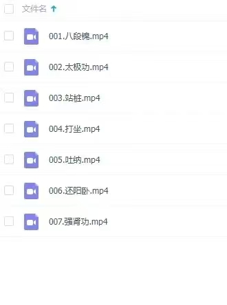 ]中华《内功修炼》7集视频课程全集
